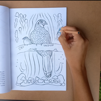 Libro Colorearte - Imagen 2