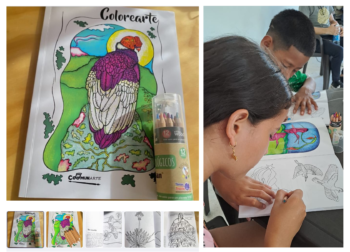 Libro Colorearte
